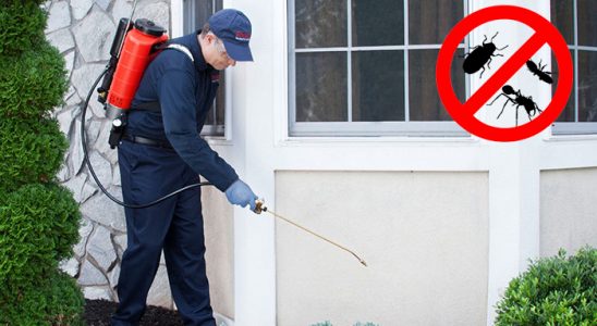Eğirdir Uçan Haşere İlaçlama böcek ilaçlama ve haşere kontrolü — ilaclama-tr.com